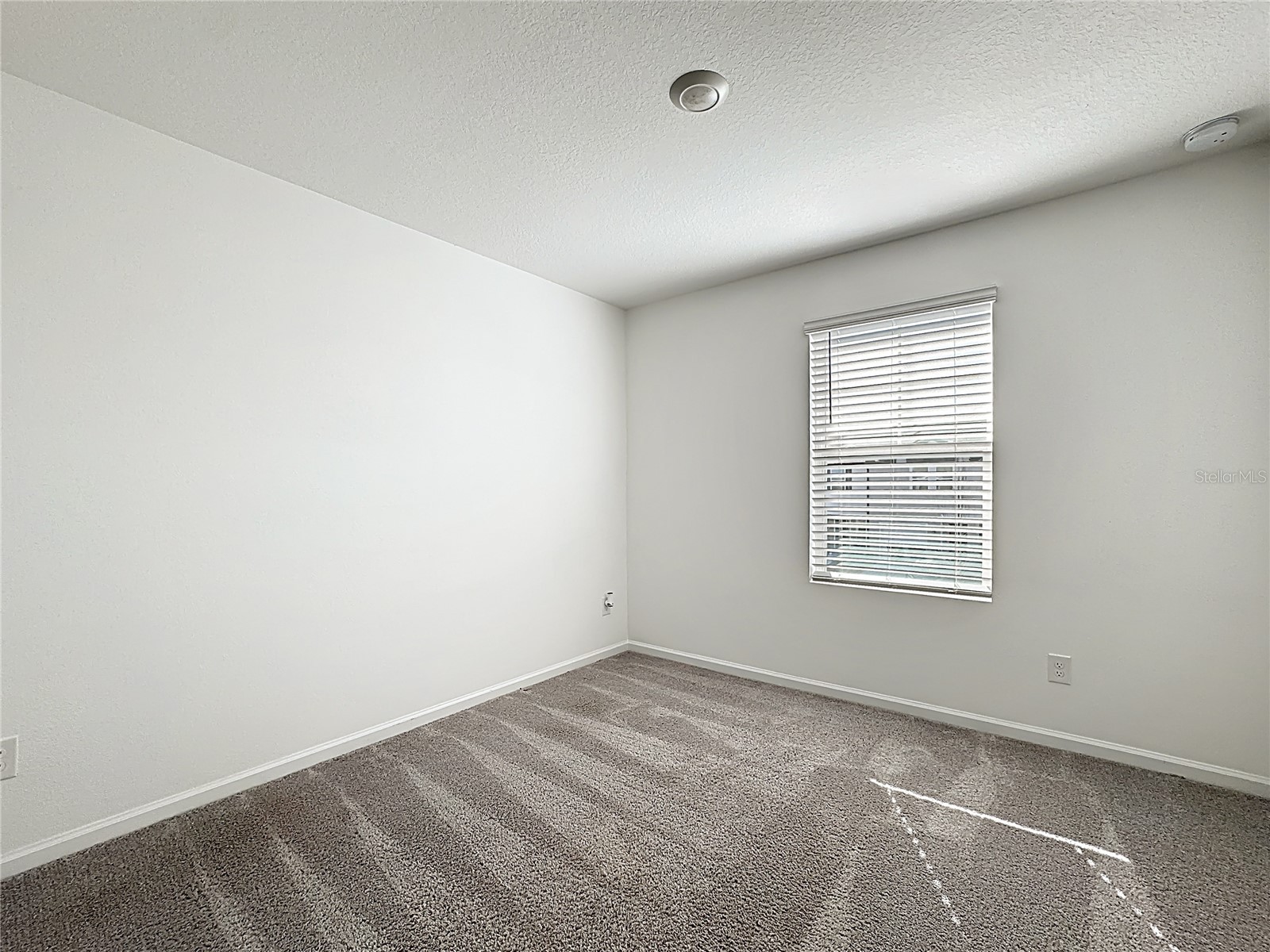 5941 Piney Shrub Place Saint Cloud FL 34771 S5140592 image19