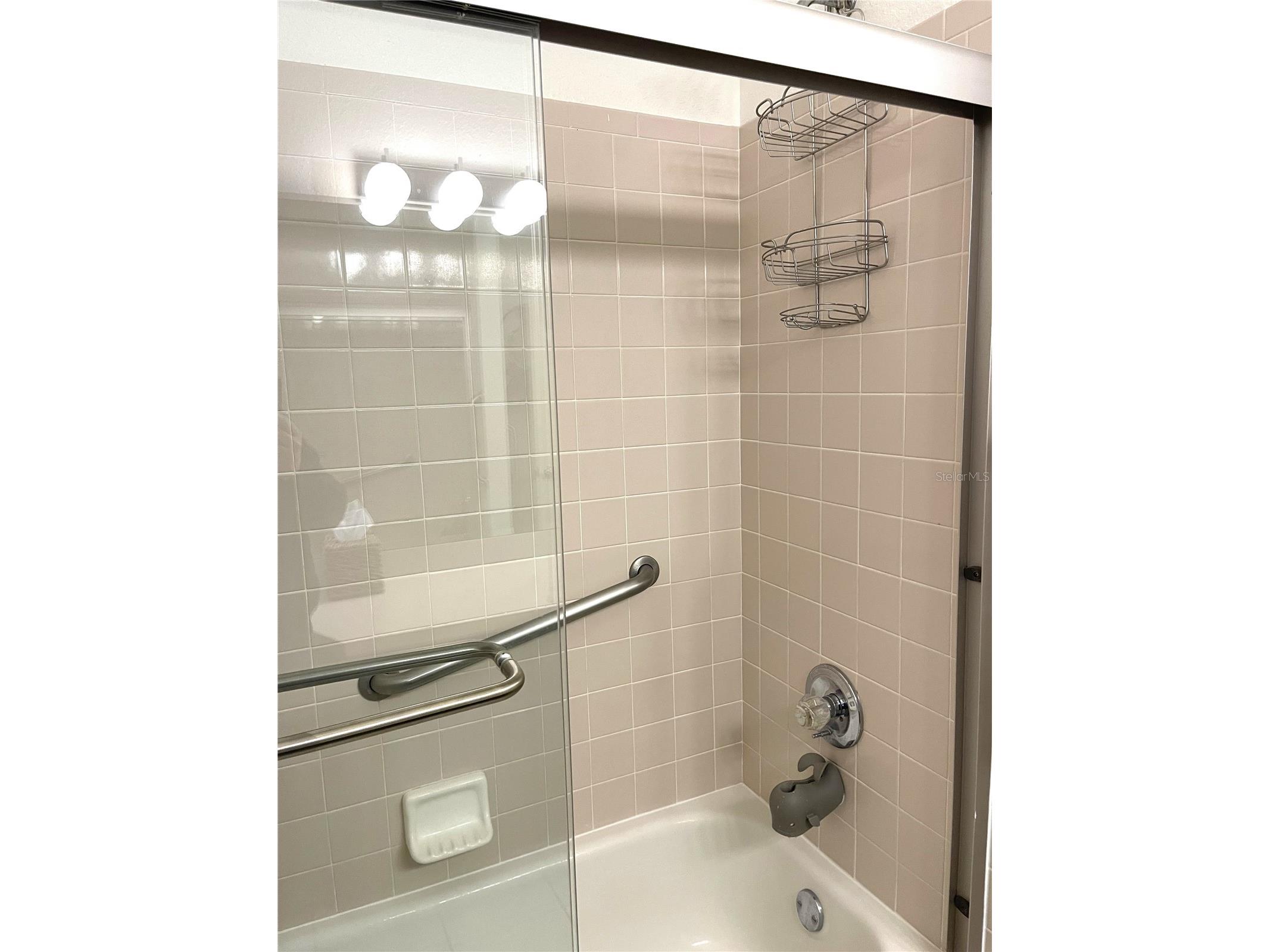 5941 Velvet Loop Lakeland FL 33811 L4960773 image25
