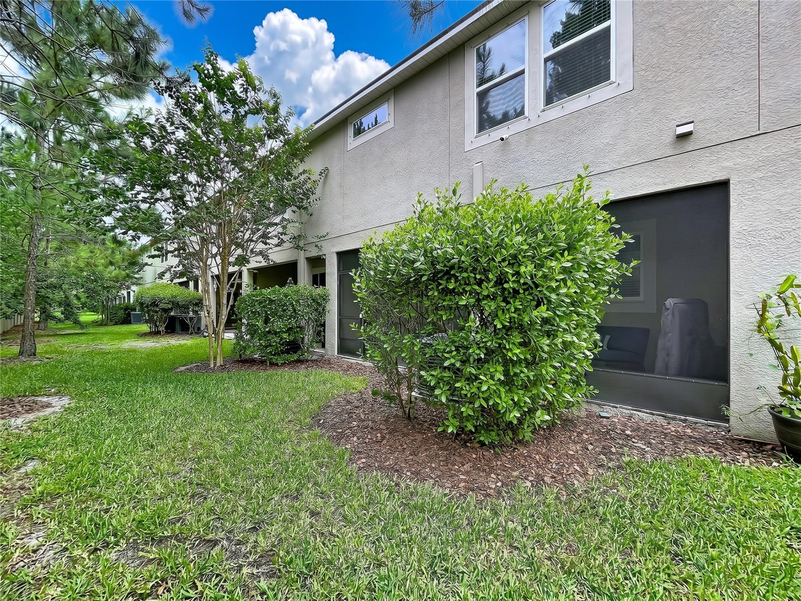 5942 Grand Sonata Avenue Lutz FL 33558 TB8517678 image48