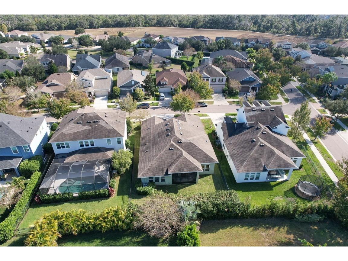 5943 Jasper Glen Drive Lithia FL 33547 TB8456798 image2