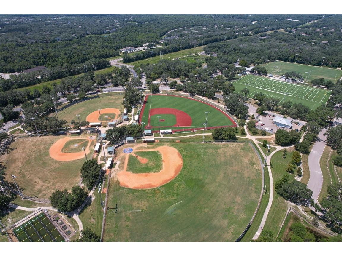 5943 Jasper Glen Drive Lithia FL 33547 TB8456798 image48