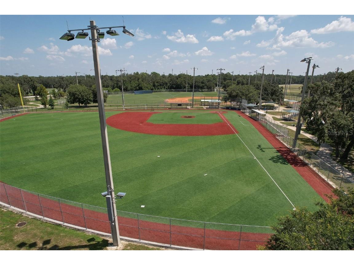 5943 Jasper Glen Drive Lithia FL 33547 TB8456798 image49