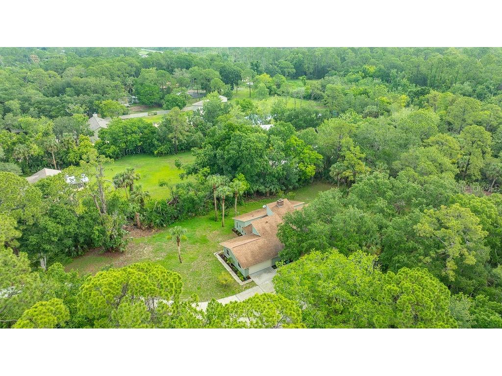 5943 Trailwood Drive Port Orange FL 32127 V4945048 image22