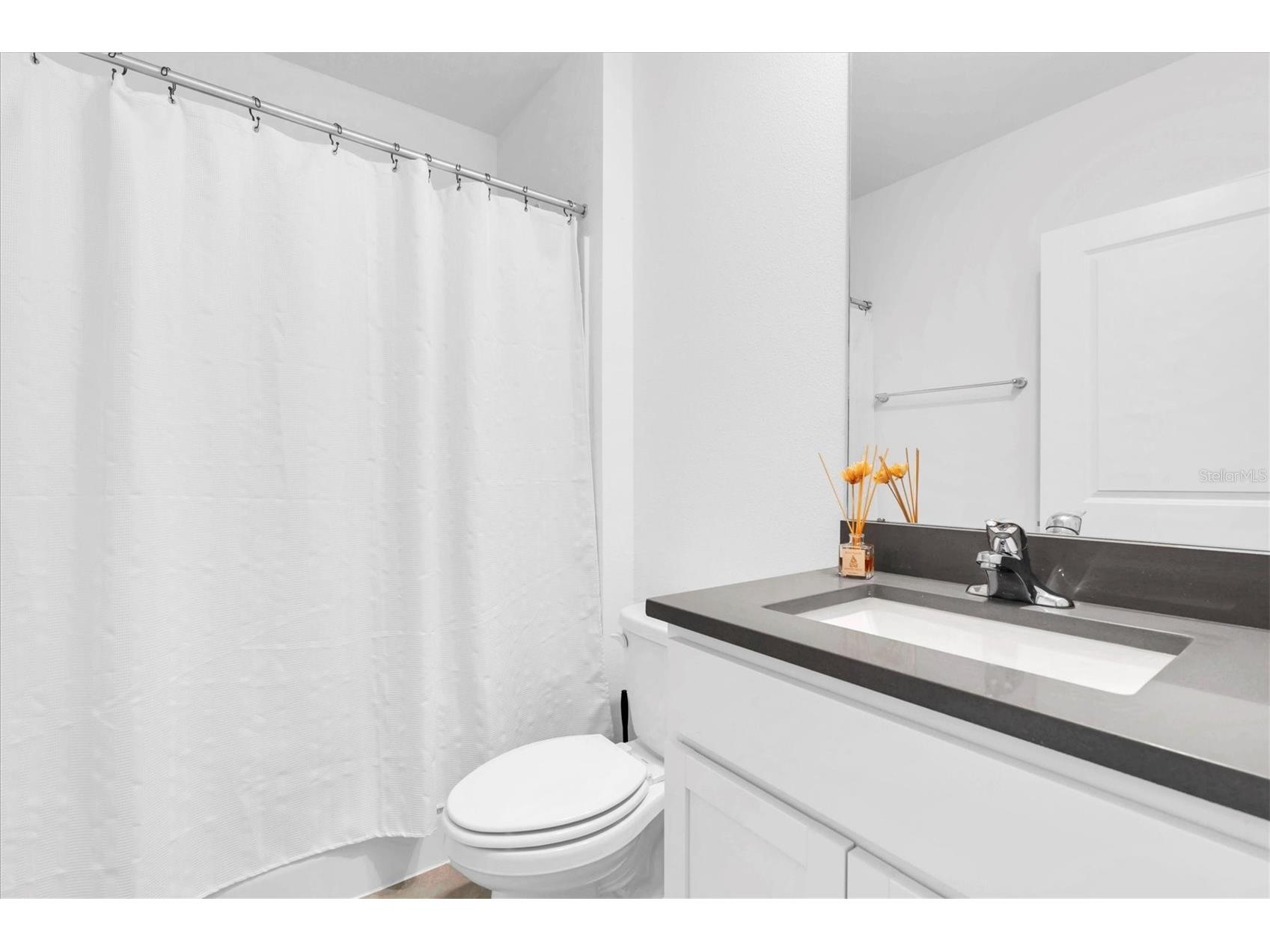 5943 Wandering Willow Drive Wesley Chapel FL 33545 TB8480627 image12