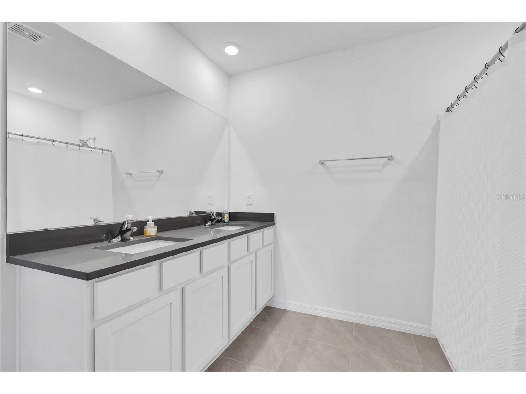 5943 Wandering Willow Drive Wesley Chapel FL 33545 TB8480627 image9