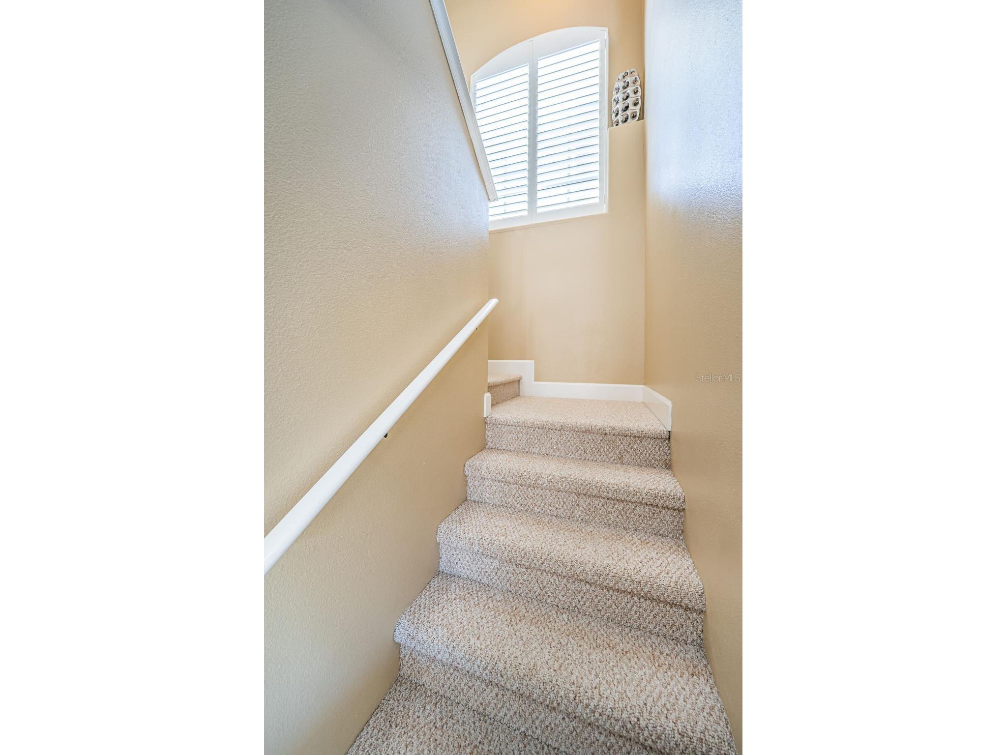 5944 Bay Drive S Gulfport FL 33707 TB8319194 image33