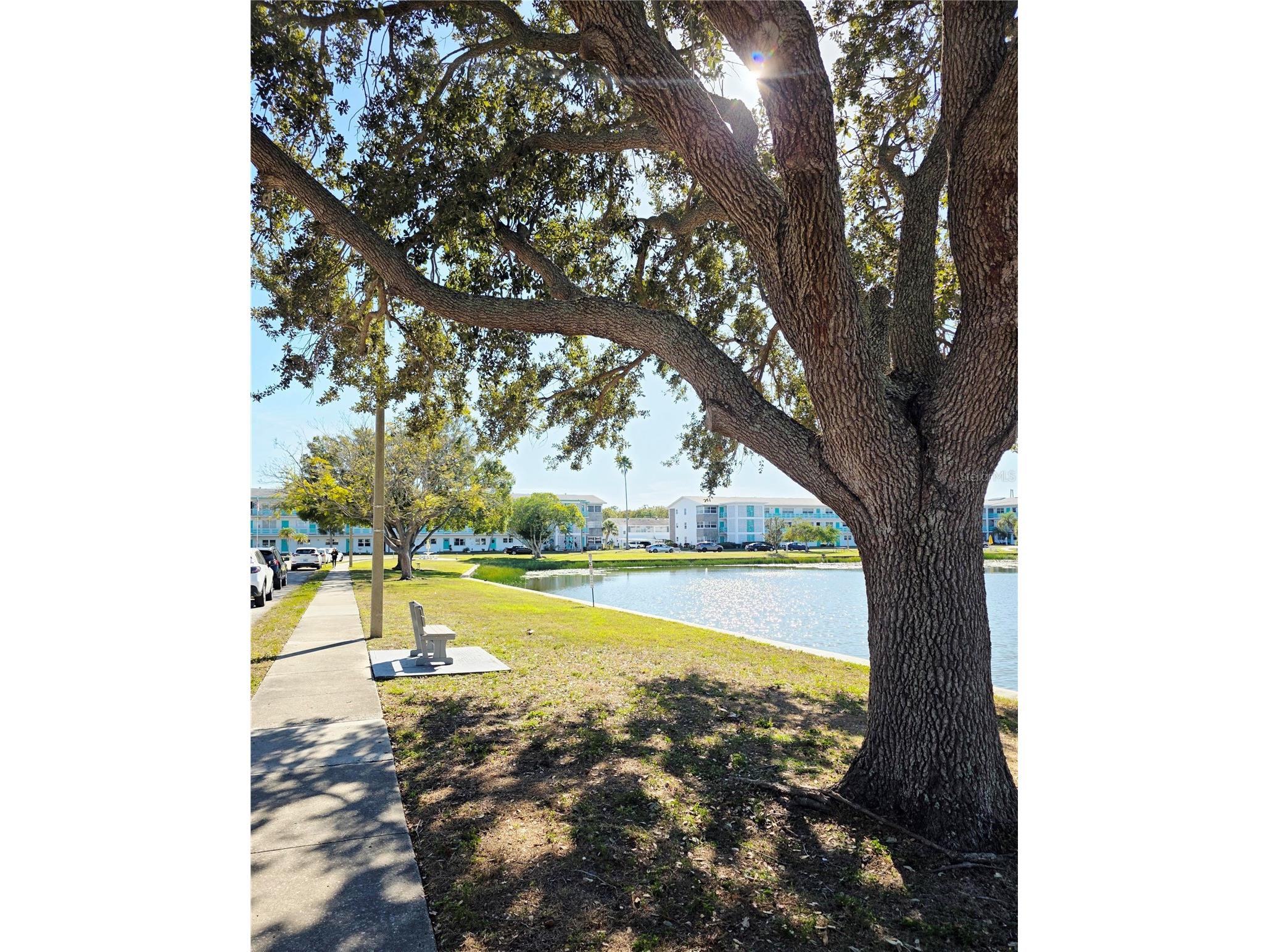 5945 21st Street N #18 Saint Petersburg FL 33714 TB8469043 image21