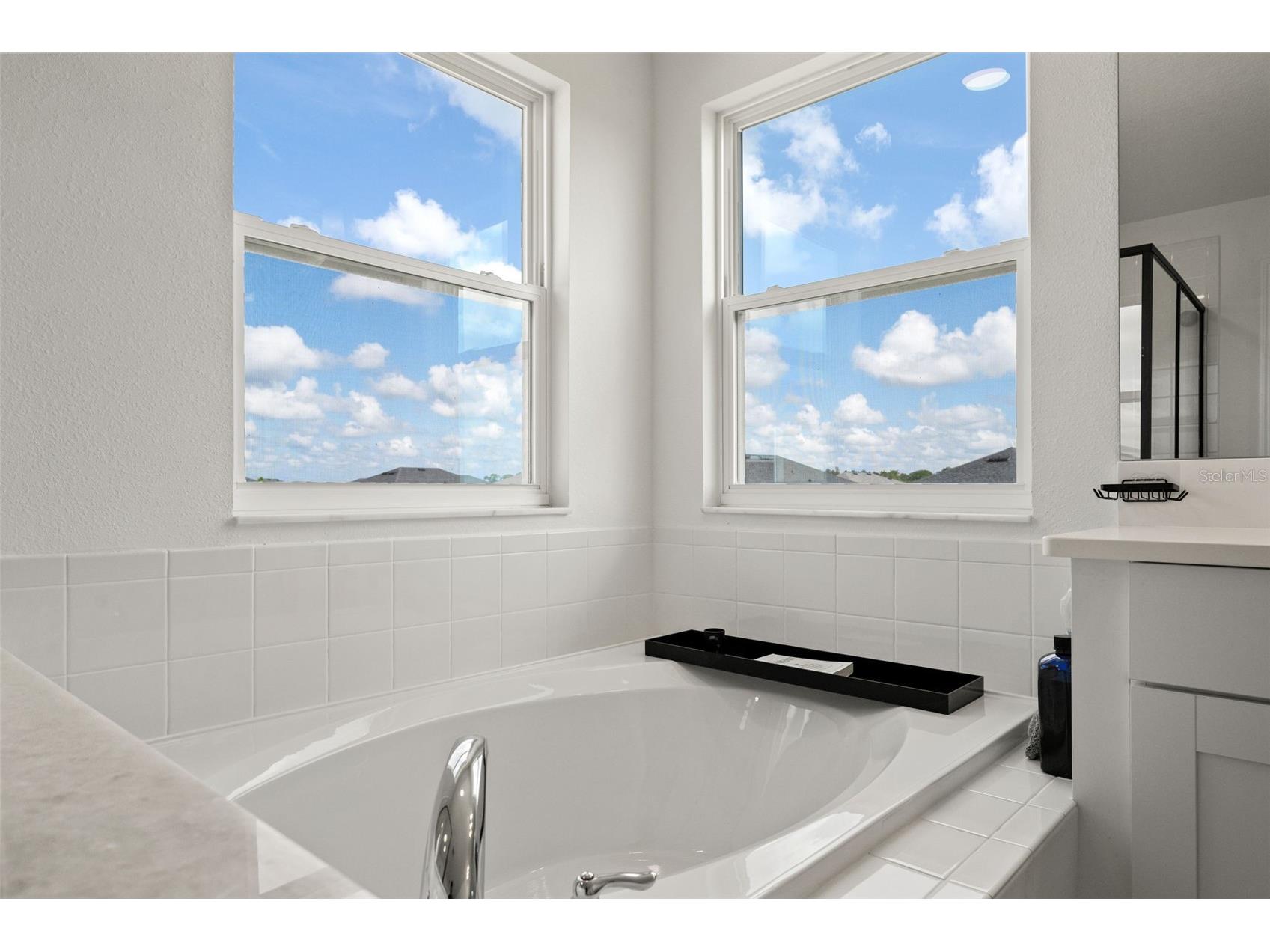 5945 Newberry Pines Avenue Wesley Chapel FL 33545 TB8506109 image25