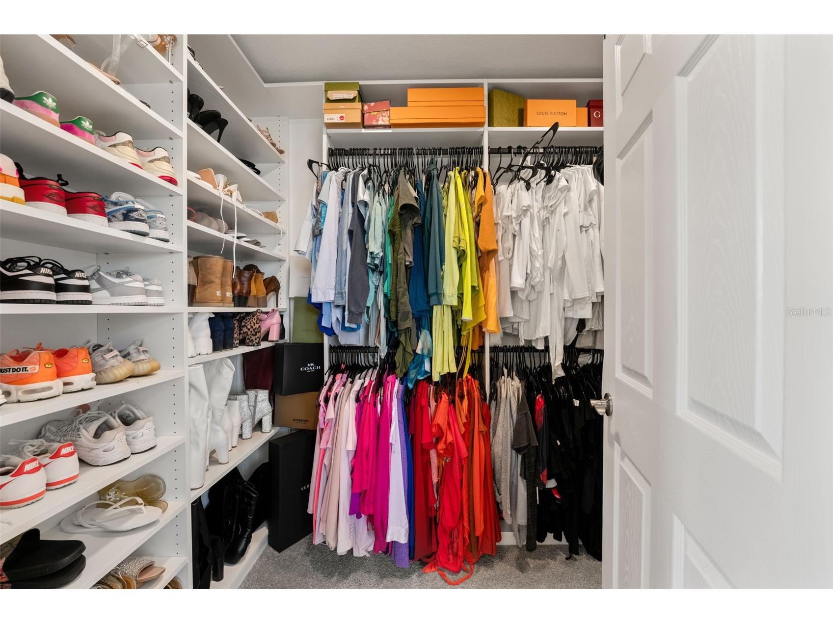 5945 Newberry Pines Avenue Wesley Chapel FL 33545 TB8506109 image26