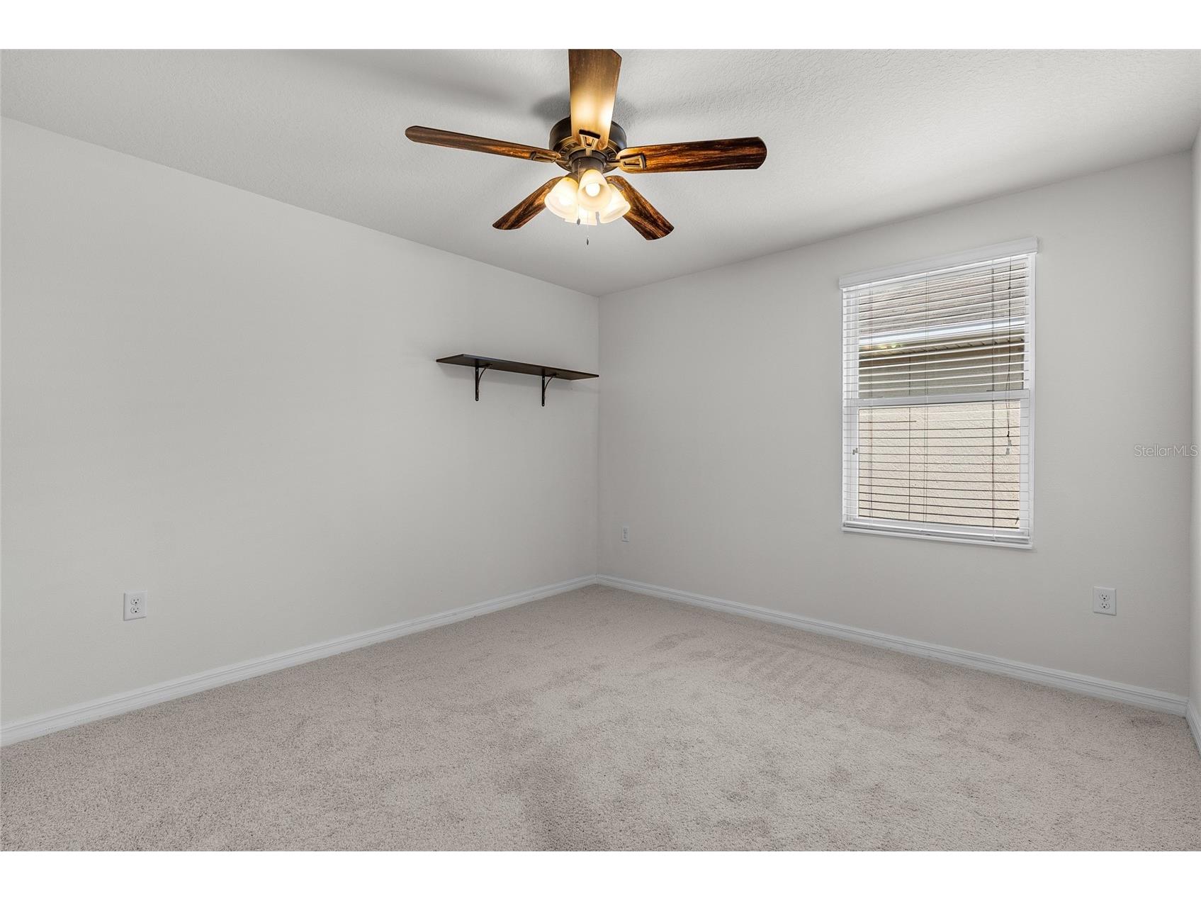 5946 81st Avenue N Pinellas Park FL 33781 TB8493871 image31