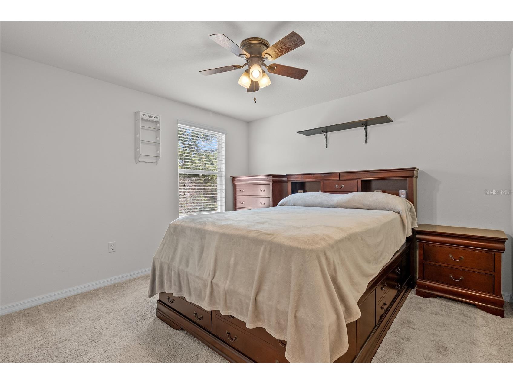 5946 81st Avenue N Pinellas Park FL 33781 TB8493871 image33