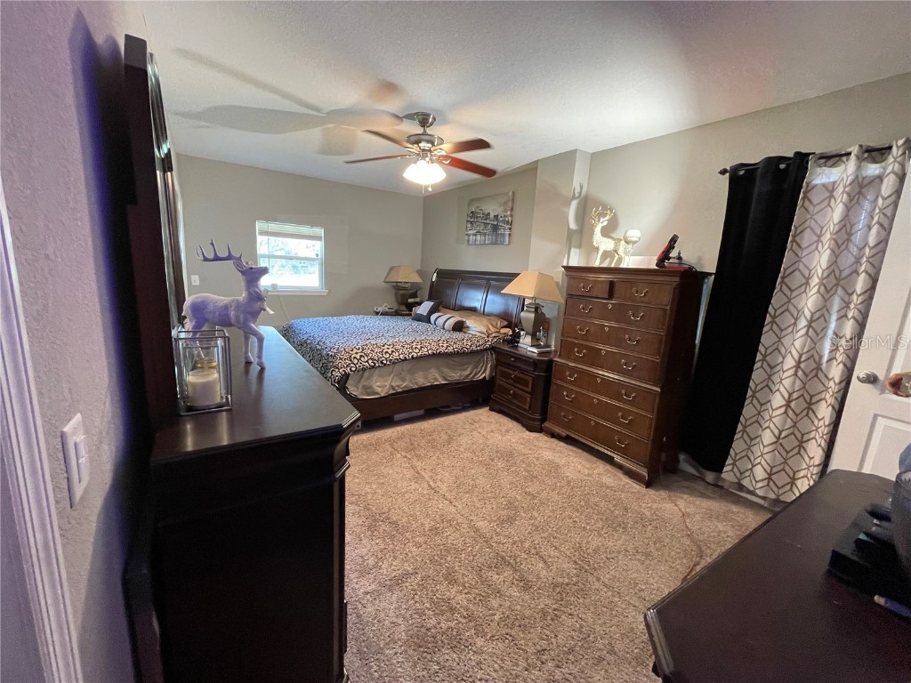 5946 Old Bartow Eagle Lake Road Winter Haven FL 33880 - MILLSET LAKE B4901990 image32