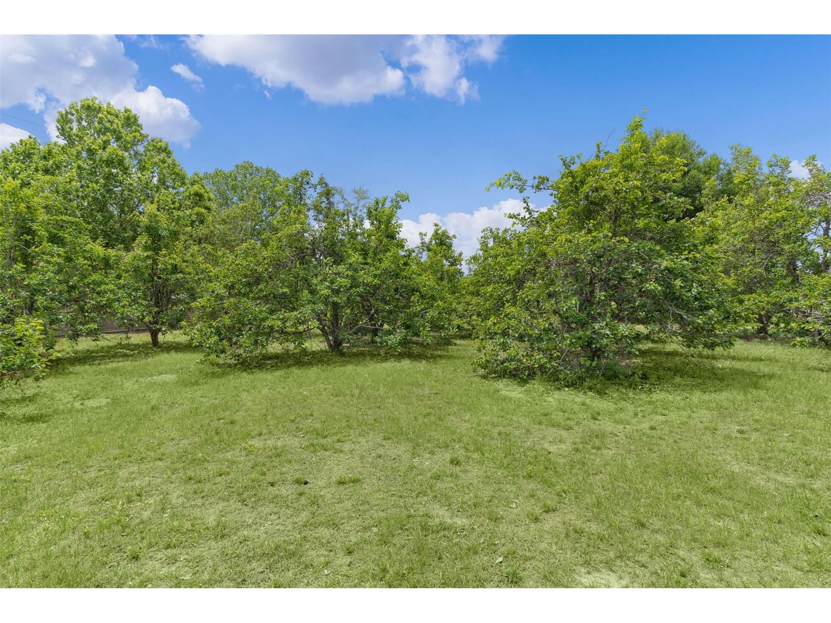5946 Sr 471 Bushnell FL 33513 G5111497 image35