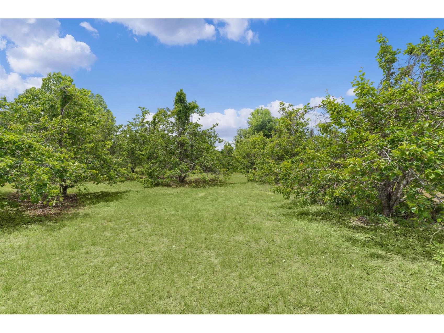 5946 Sr 471 Bushnell FL 33513 G5111497 image37