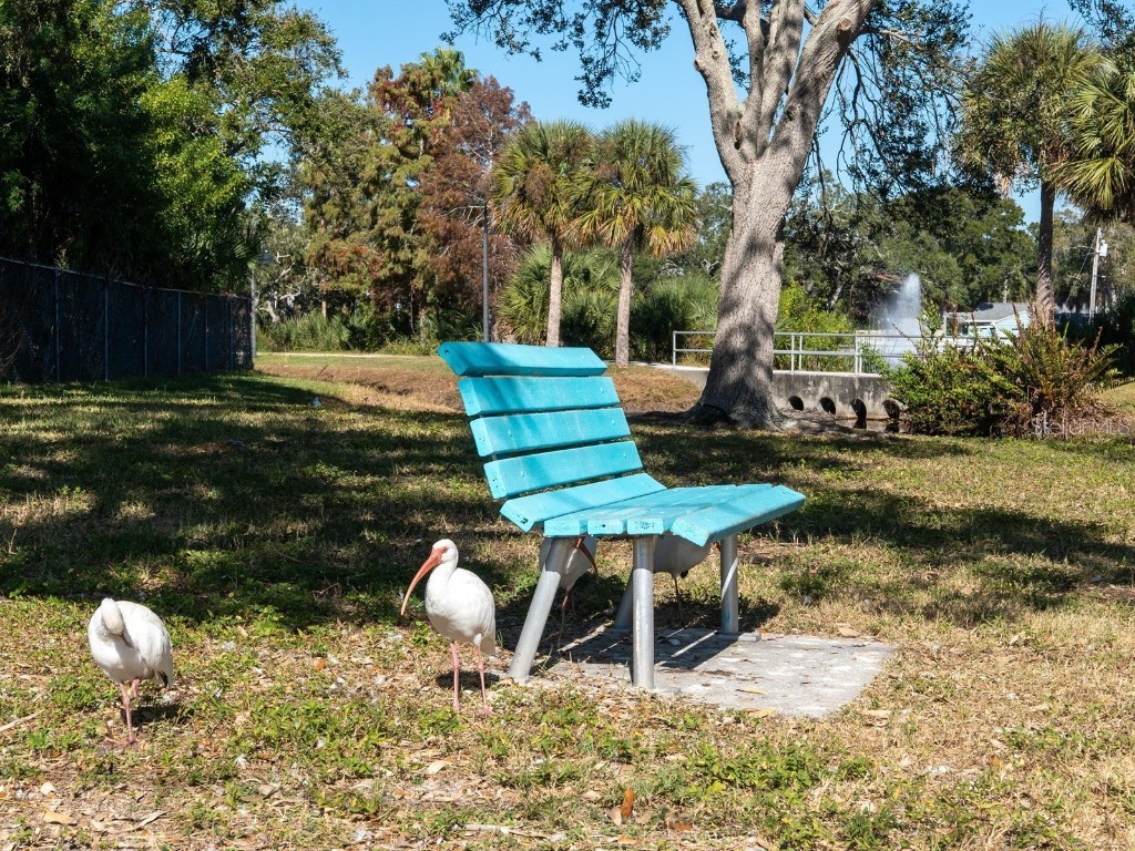 5947 Bayview Circle S Gulfport FL 33707 - BOCA CIEGA BAY A4672514 image83