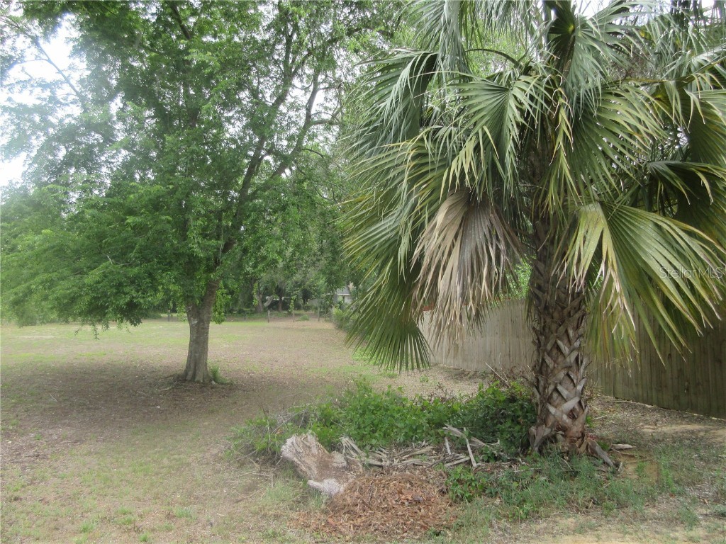 5949 SE 164th Court Ocklawaha FL 32179 - Lake Placid OM701262 image23