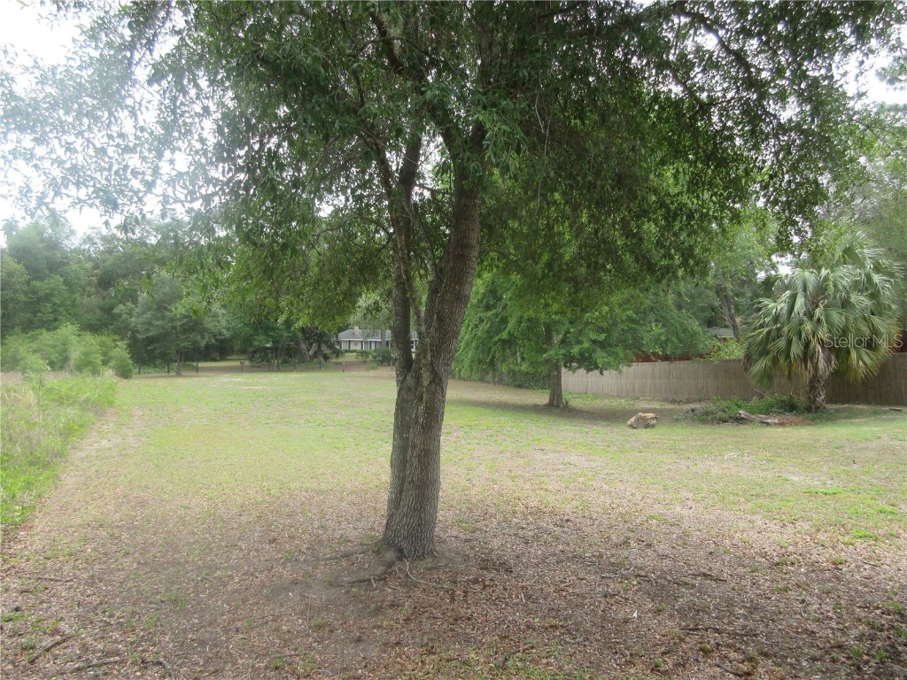 5949 SE 164th Court Ocklawaha FL 32179 - Lake Placid OM701262 image24