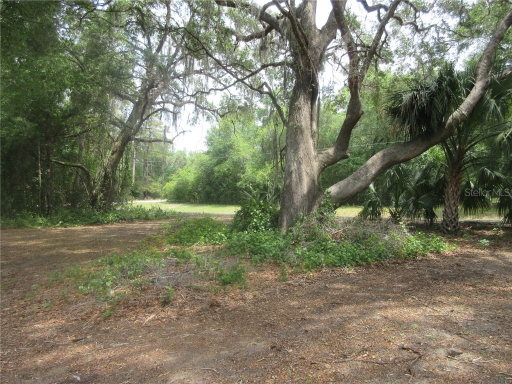 5949 SE 164th Court Ocklawaha FL 32179 - Lake Placid OM701262 image29