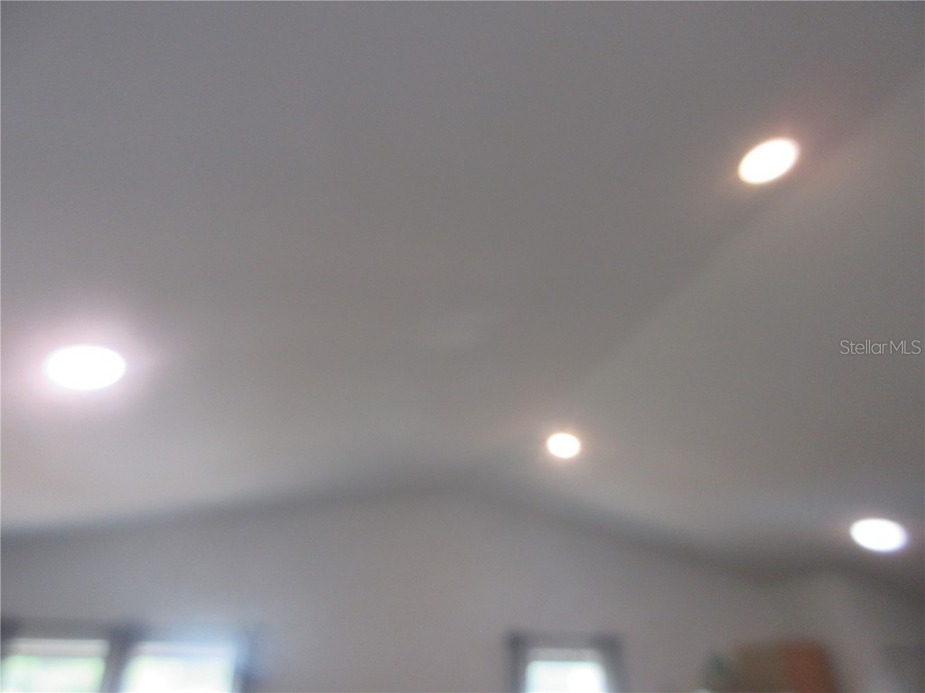 5949 SE 164th Court Ocklawaha FL 32179 - Lake Placid OM701262 image48