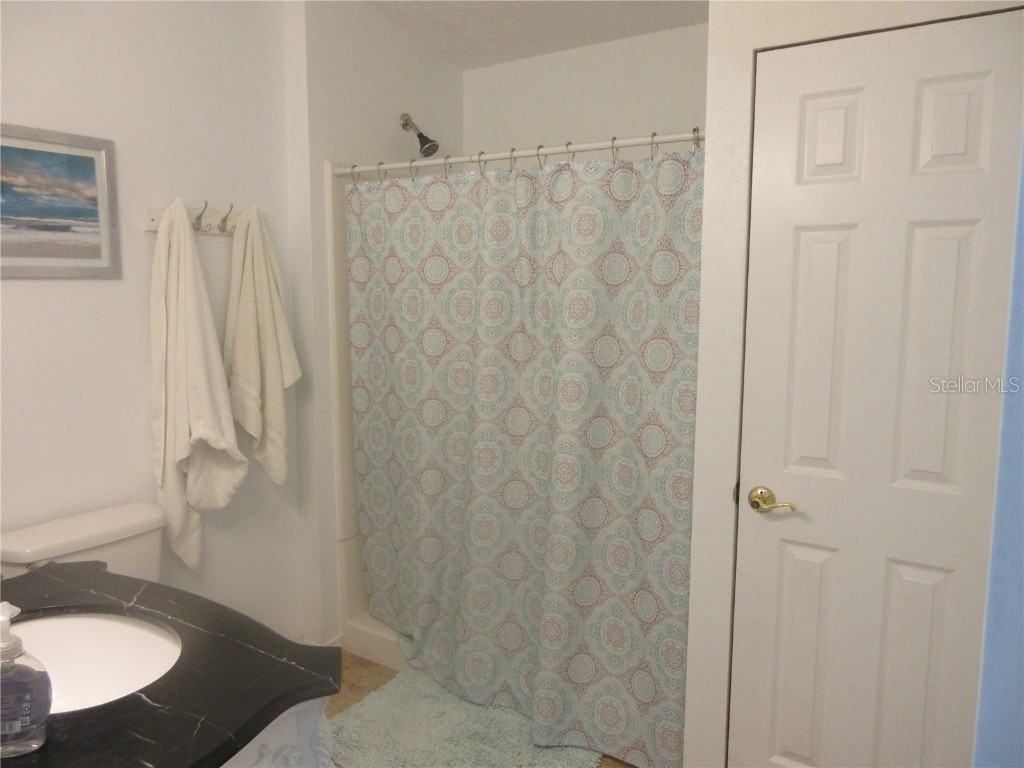 5949 SE 164th Court Ocklawaha FL 32179 - Lake Placid OM701262 image49