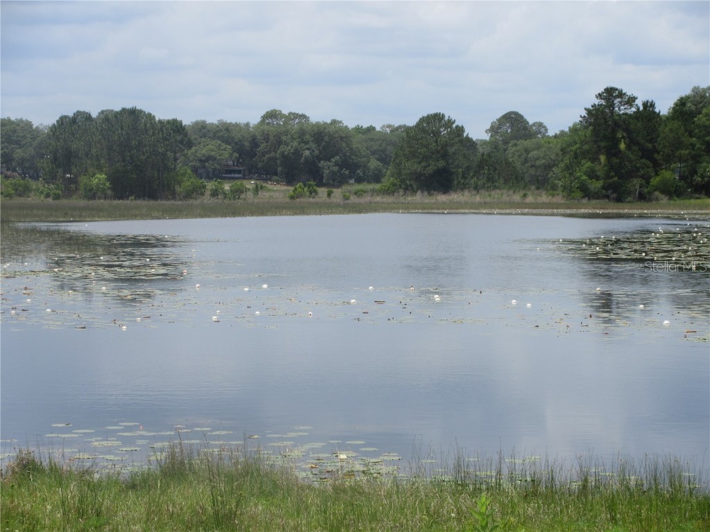 5949 SE 164th Court Ocklawaha FL 32179 - Lake Placid OM701262 image58