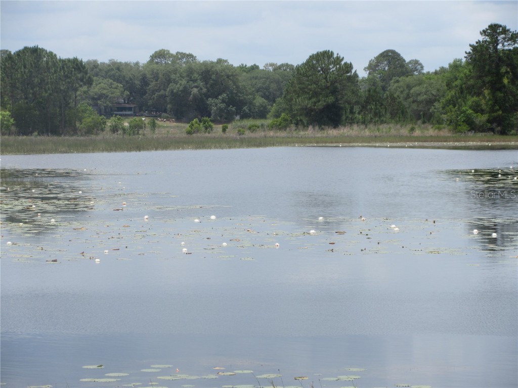 5949 SE 164th Court Ocklawaha FL 32179 - Lake Placid OM701262 image60