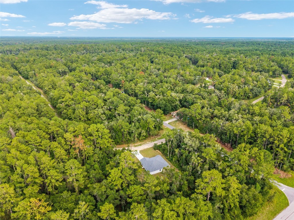 595 E Byrd Loop Dunnellon FL 34434 G5101664 image45