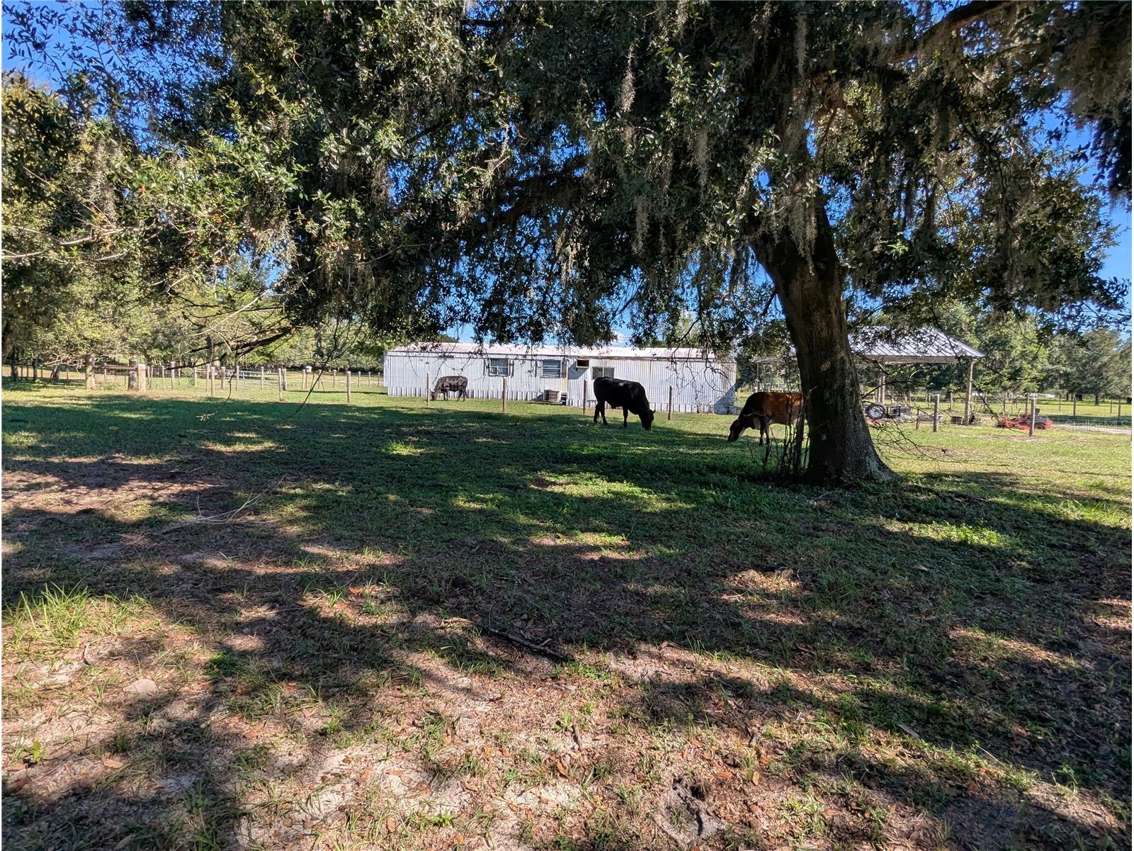 5950 Cow Pen Road Bartow FL 33830 L4955991 image15