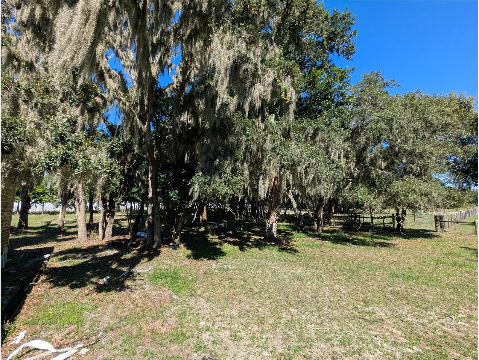 5950 Cow Pen Road Bartow FL 33830 L4955991 image16