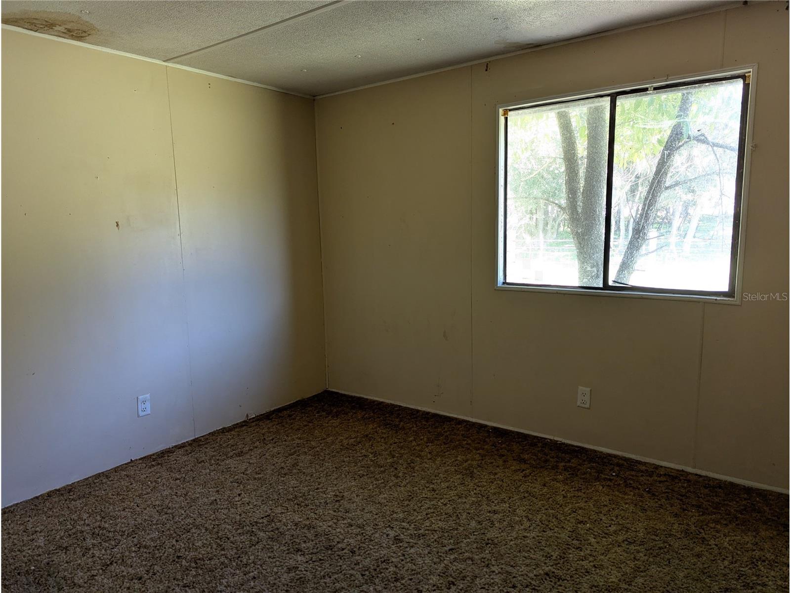 5950 Cow Pen Road Bartow FL 33830 L4955991 image22