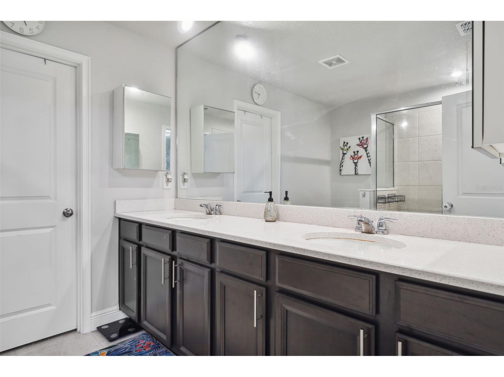5950 Grand Sonata Avenue Lutz FL 33558 TB8510221 image20