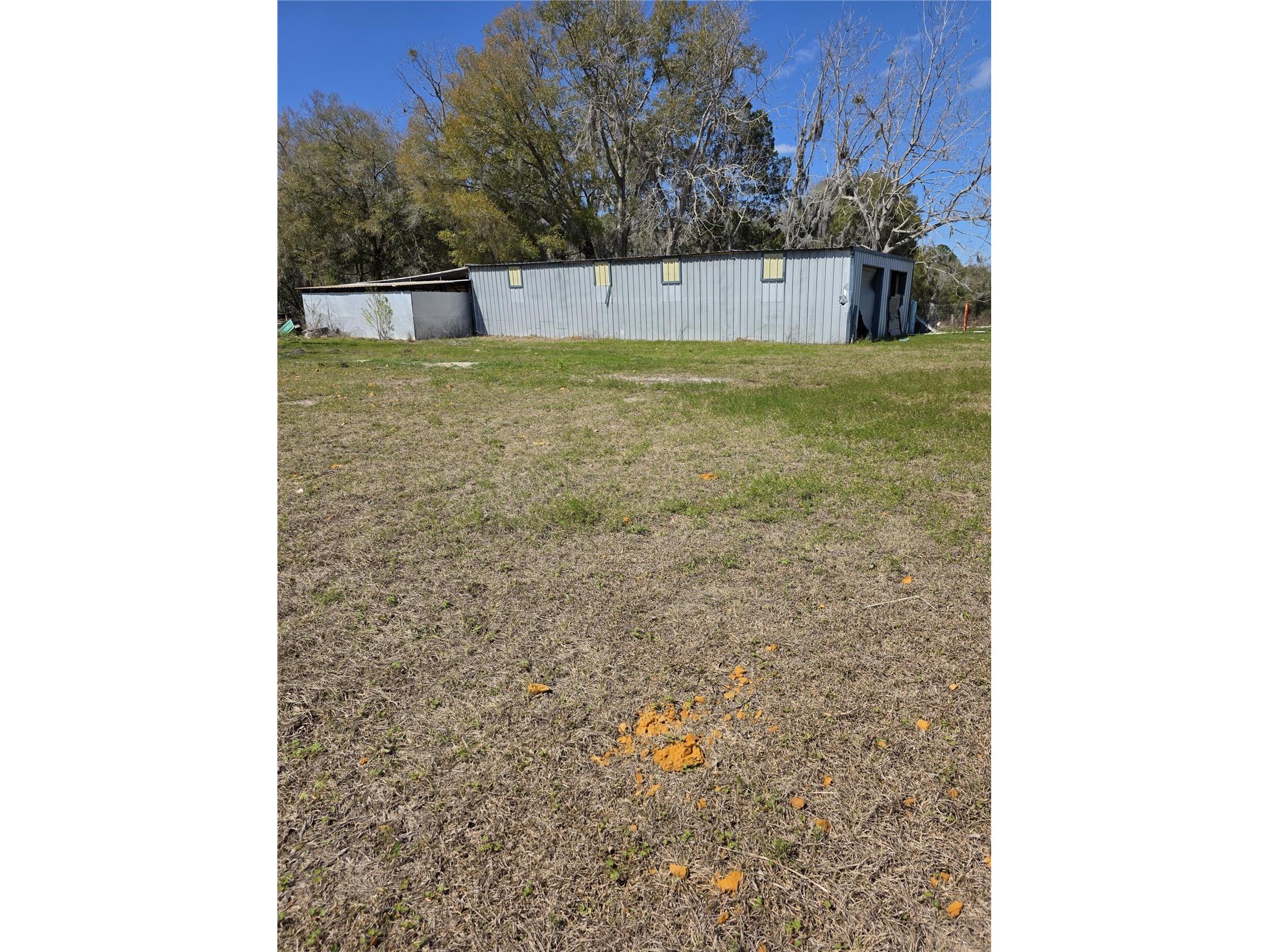 5950 NE Highway 41 Williston FL 32696 OM722909 image12