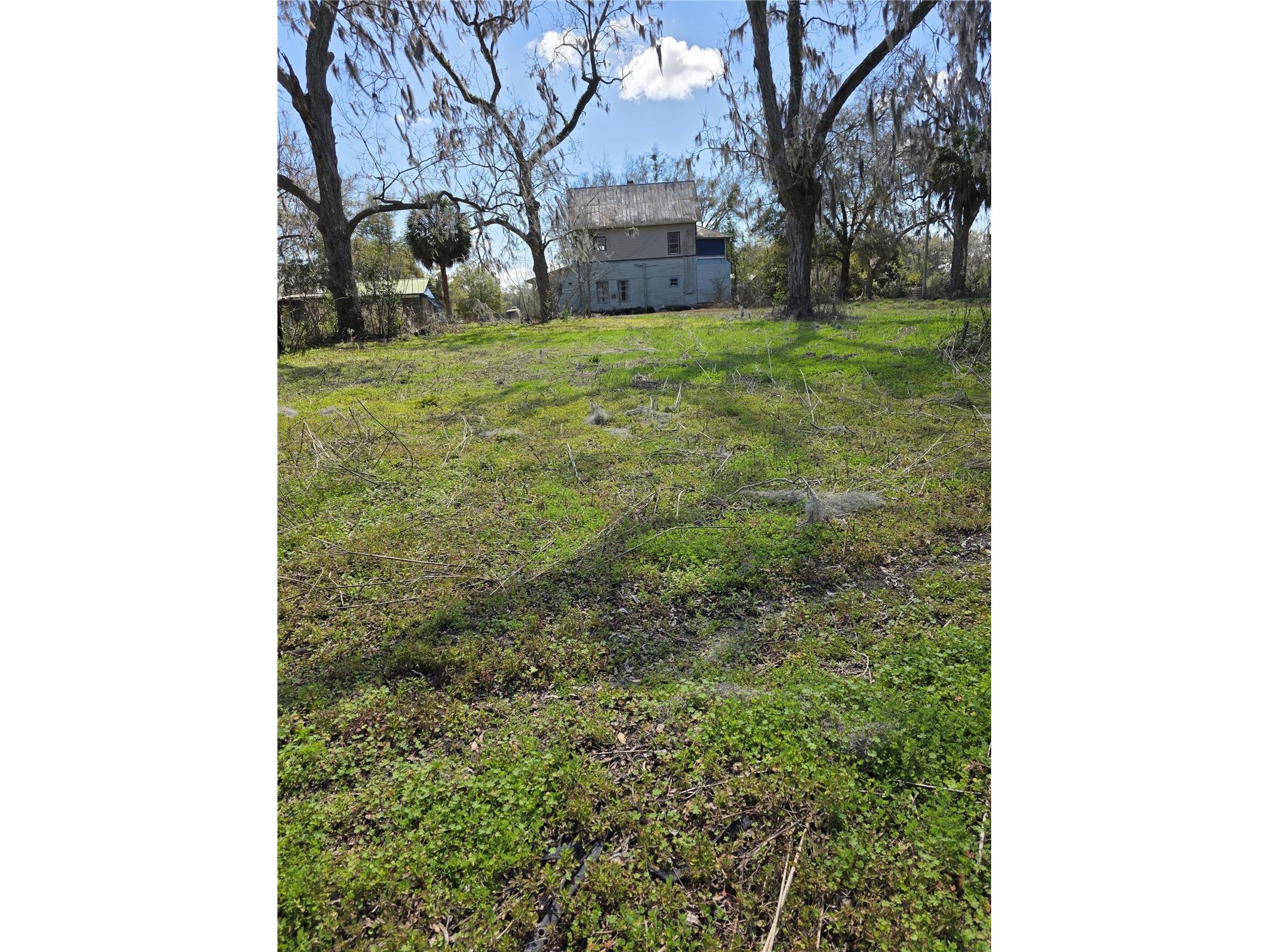5950 NE Highway 41 Williston FL 32696 OM722909 image13