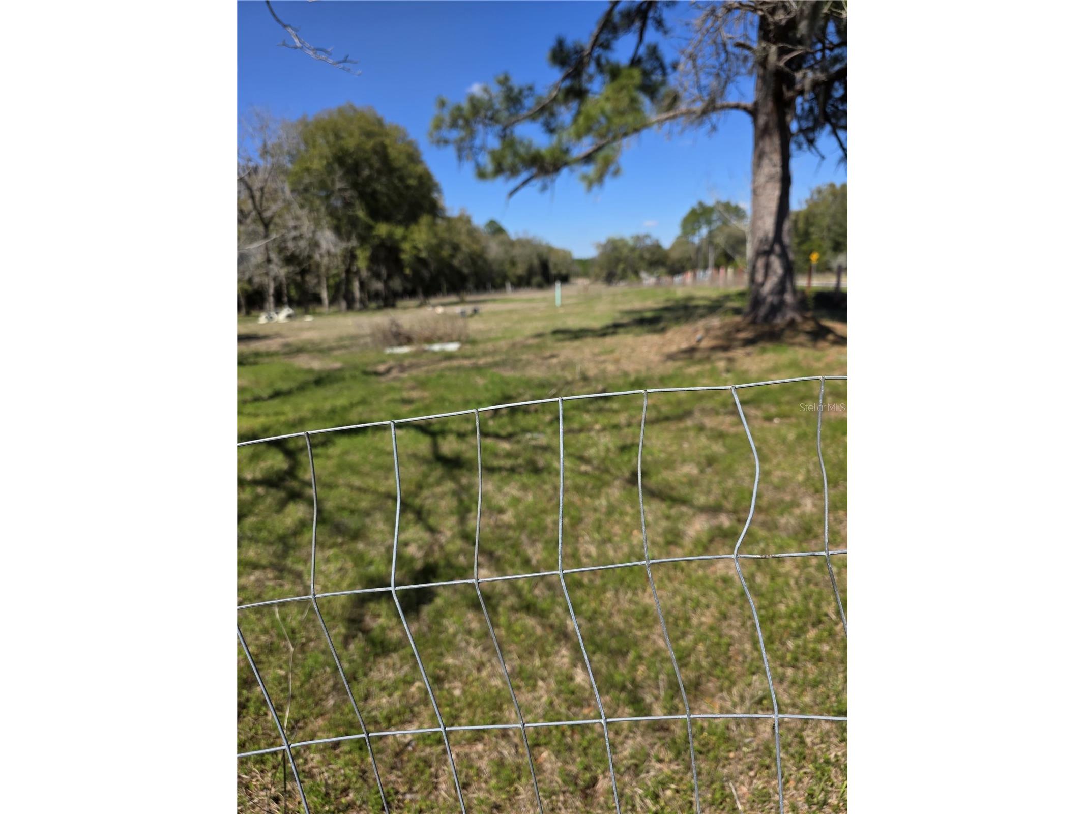 5950 NE Highway 41 Williston FL 32696 OM722909 image20