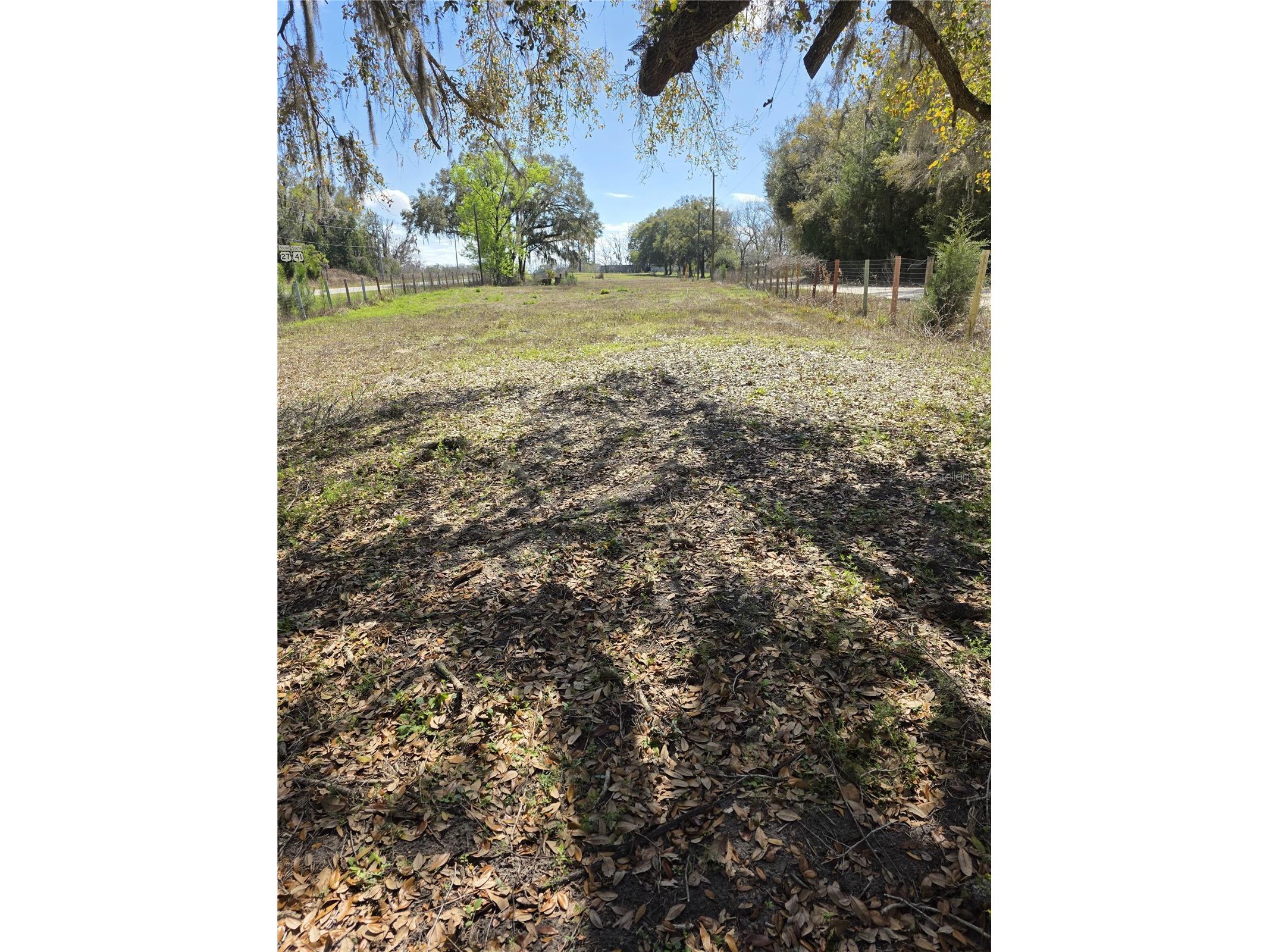 5950 NE Highway 41 Williston FL 32696 OM722909 image21