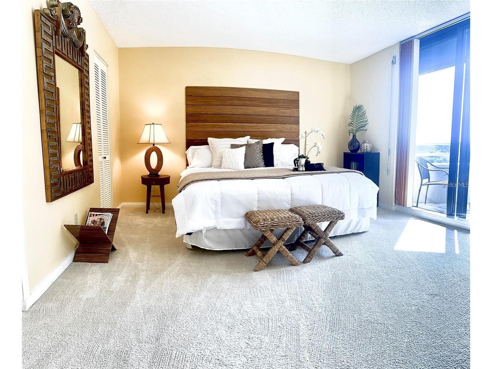 5950 Pelican Bay Plaza S #505 Gulfport FL 33707 TB8518855 image23