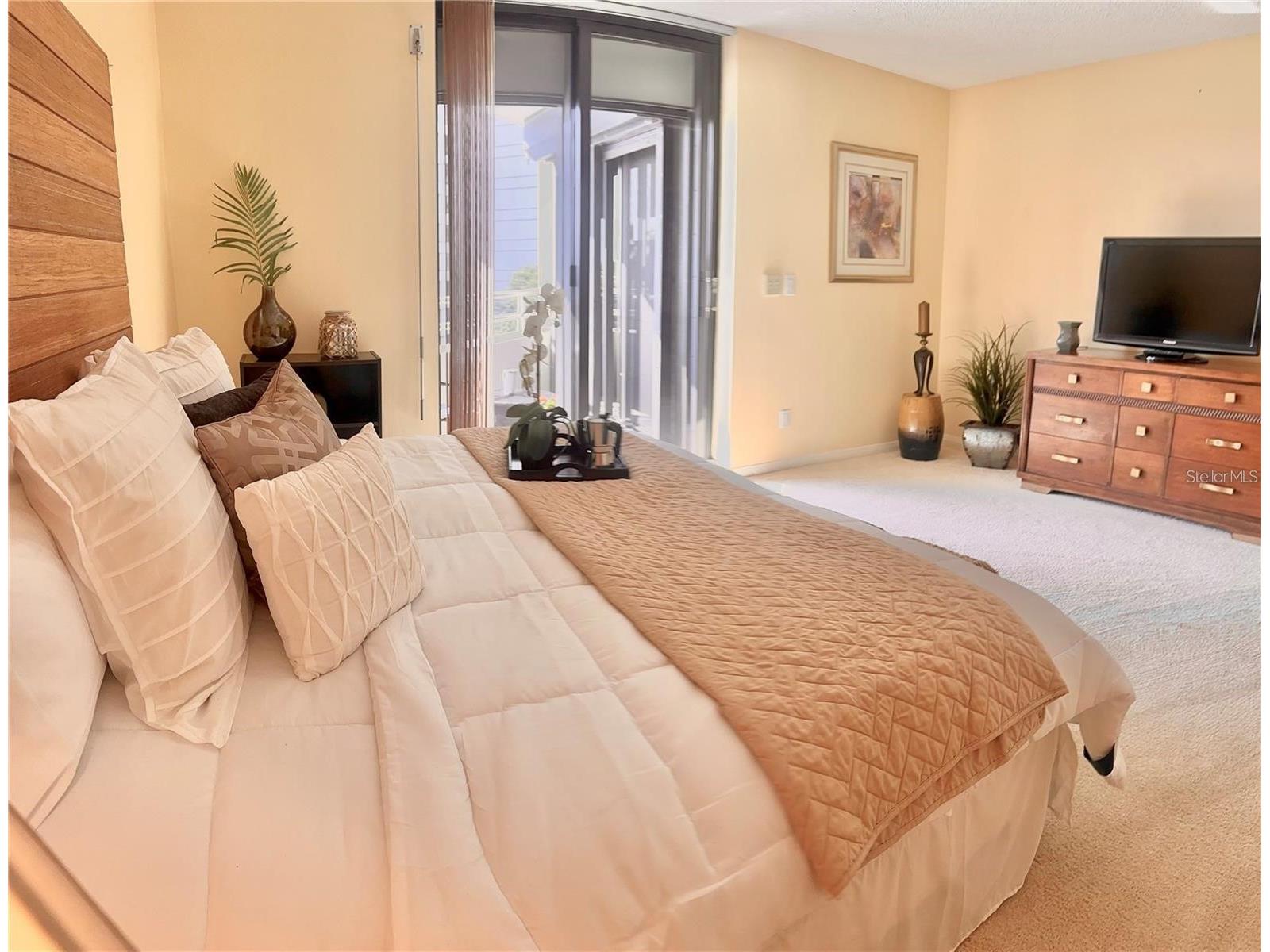 5950 Pelican Bay Plaza S #505 Gulfport FL 33707 TB8518855 image25