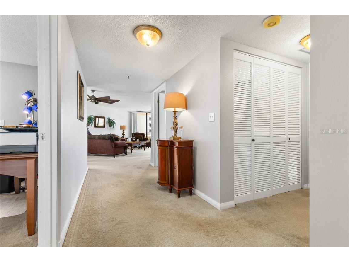 5950 Pelican Bay Plaza S #705 Gulfport FL 33707 TB8430244 image20