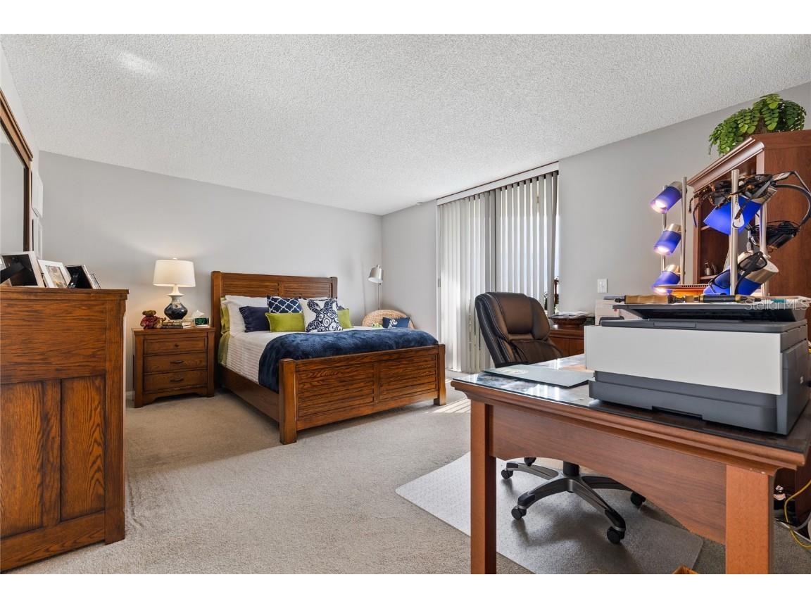 5950 Pelican Bay Plaza S #705 Gulfport FL 33707 TB8430244 image22