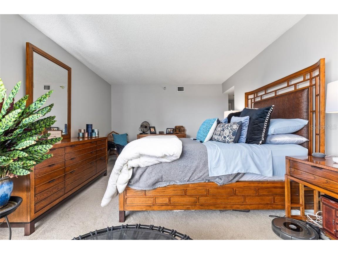 5950 Pelican Bay Plaza S #705 Gulfport FL 33707 TB8430244 image27