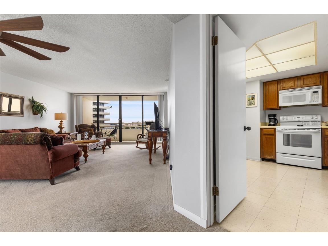 5950 Pelican Bay Plaza S #705 Gulfport FL 33707 TB8430244 image28