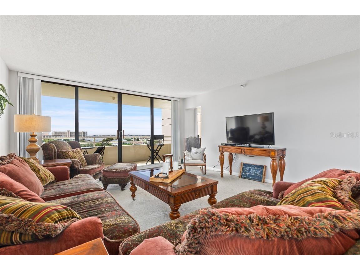 5950 Pelican Bay Plaza S #705 Gulfport FL 33707 TB8430244 image30