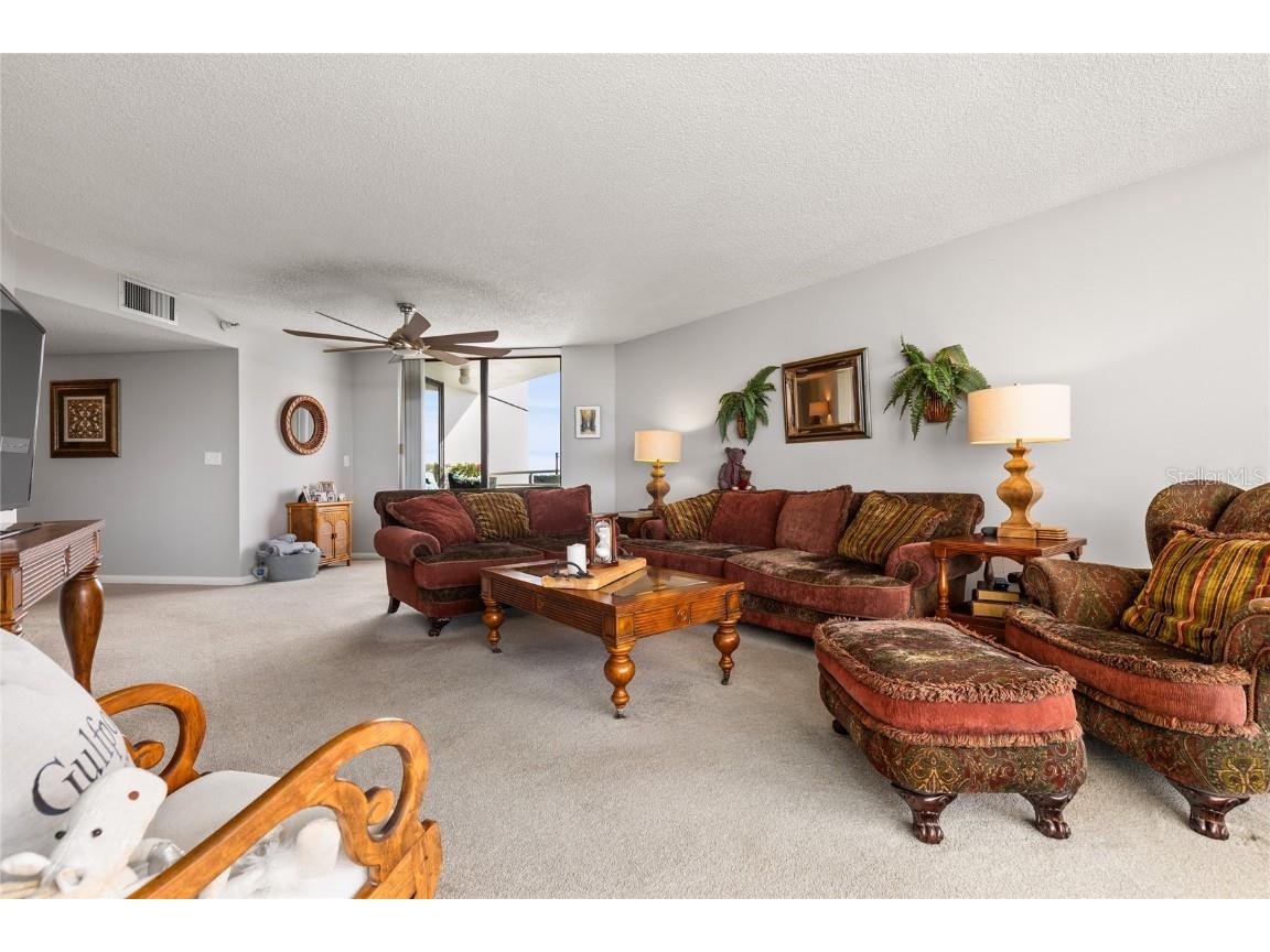 5950 Pelican Bay Plaza S #705 Gulfport FL 33707 TB8430244 image32