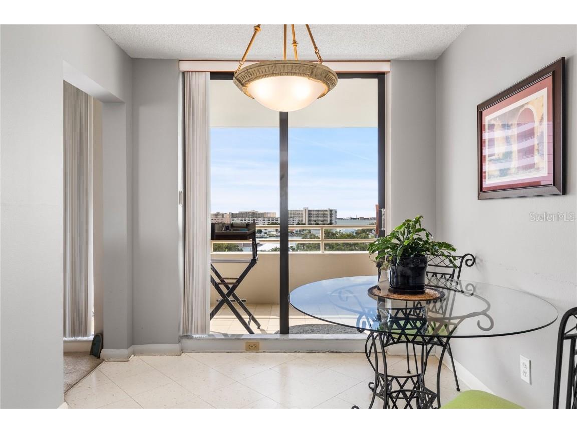 5950 Pelican Bay Plaza S #705 Gulfport FL 33707 TB8430244 image36