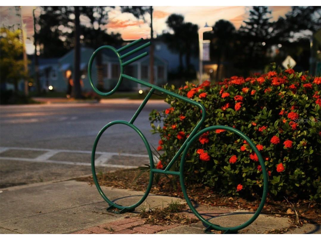 5950 Pelican Bay Plaza S #705 Gulfport FL 33707 TB8430244 image39