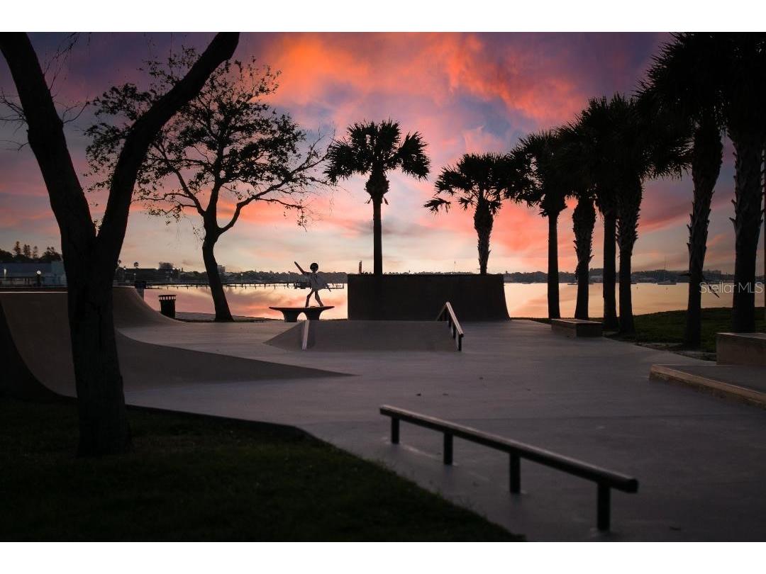 5950 Pelican Bay Plaza S #705 Gulfport FL 33707 TB8430244 image43