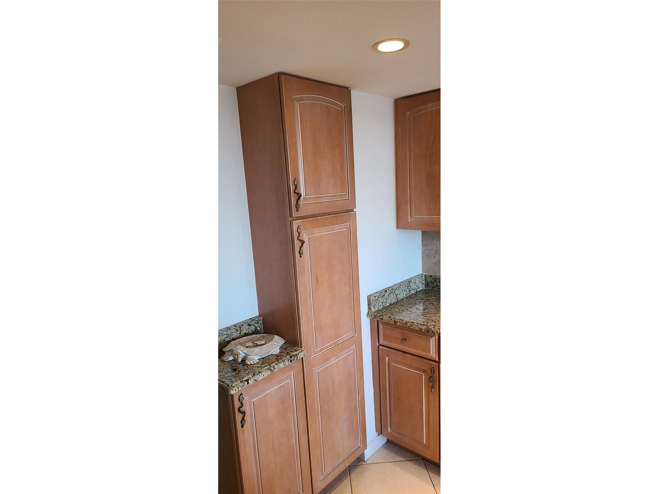 5950 Pelican Bay Plaza S #PH-1B Saint Petersburg FL 33707 TB8457319 image25