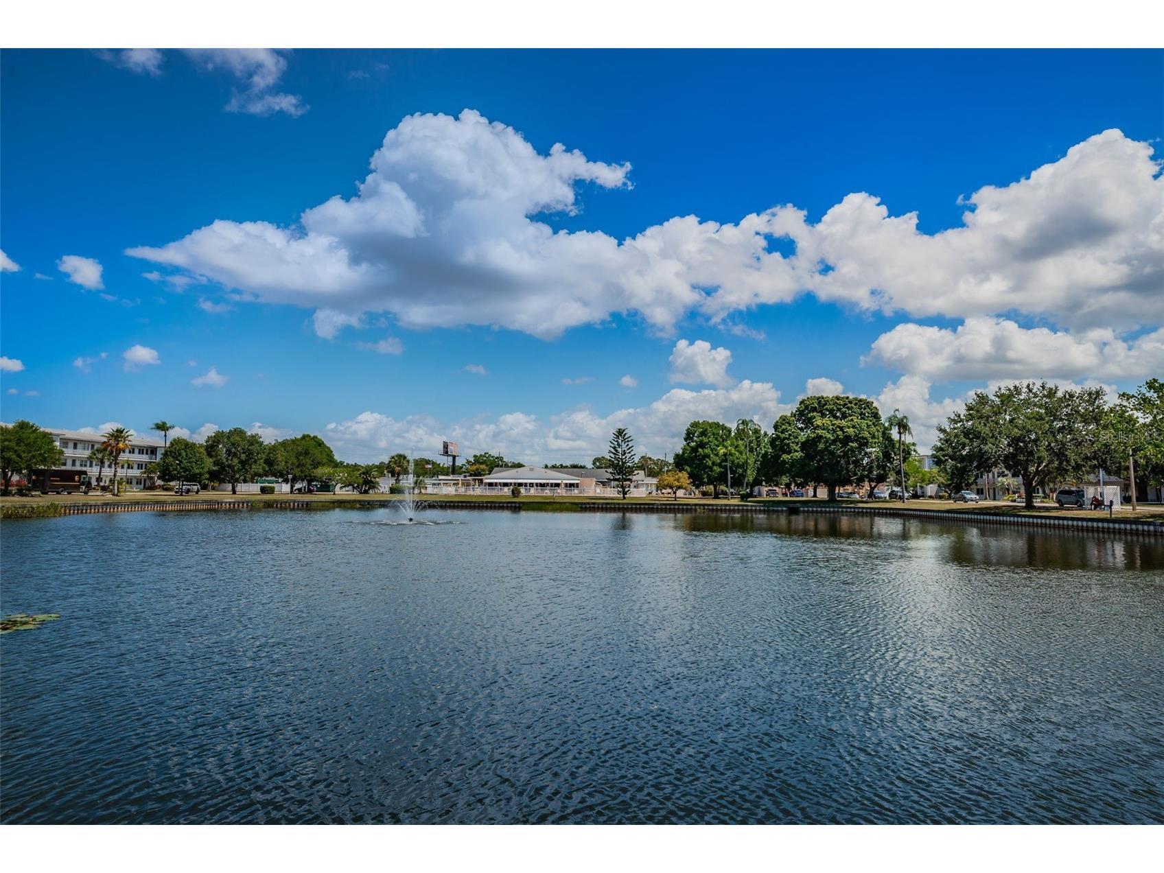 5955 18th Street N #7 Saint Petersburg FL 33714 TB8476279 image14
