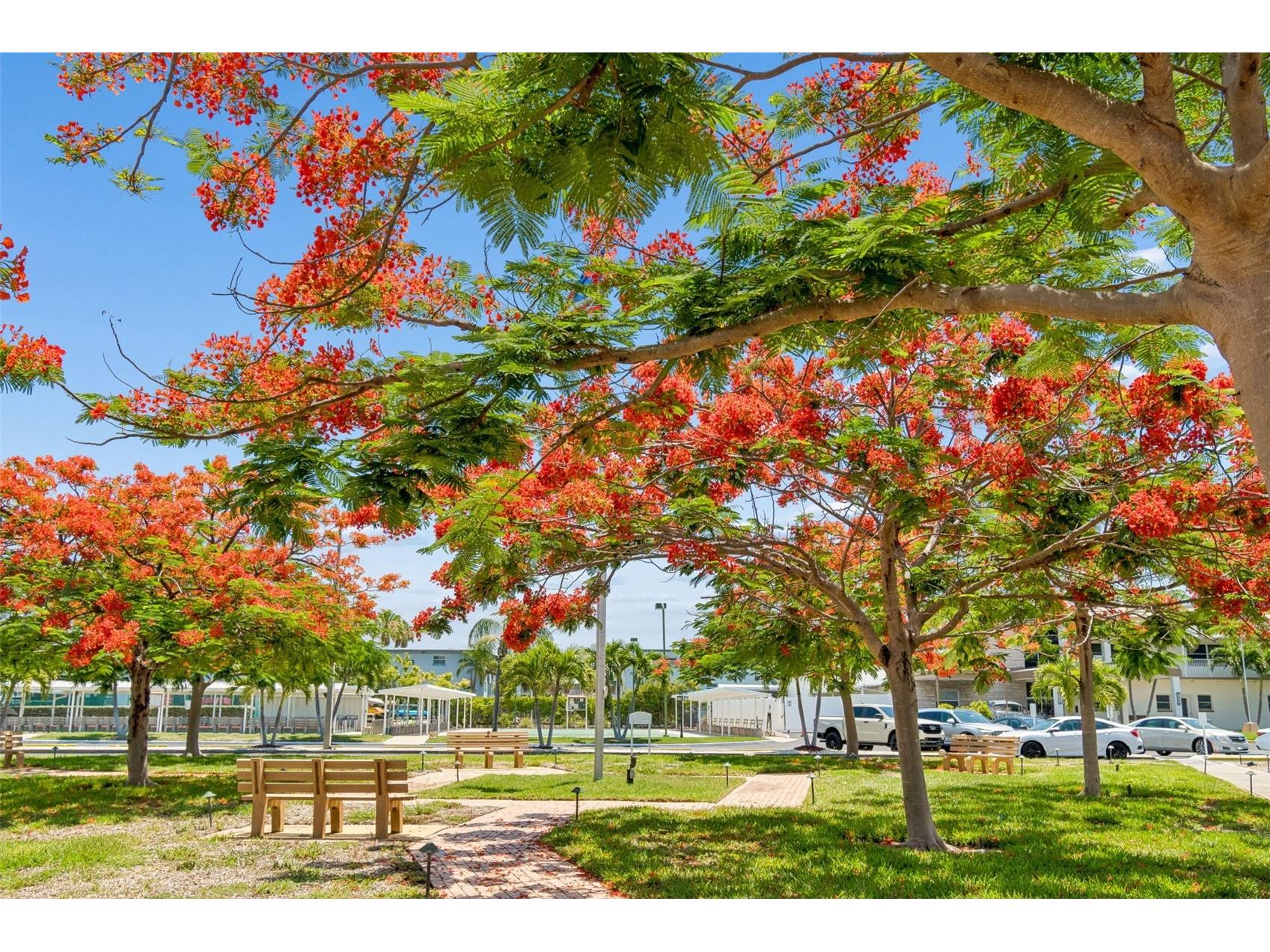 5955 30th Avenue S #105 Gulfport FL 33707 - BOCA CIEGA BAY TB8510340 image30