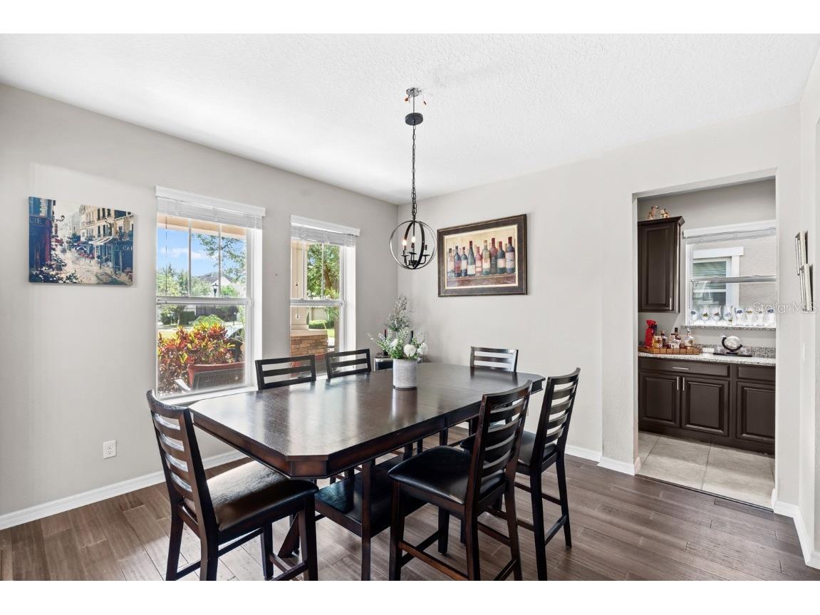 5955 Caldera Ridge Drive Lithia FL 33547 TB8403014 image29